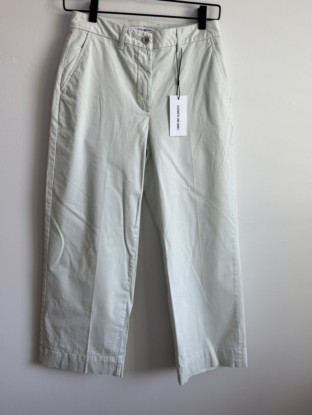 Elizabeth and James Wide-Leg Mint Green Chinos NWT